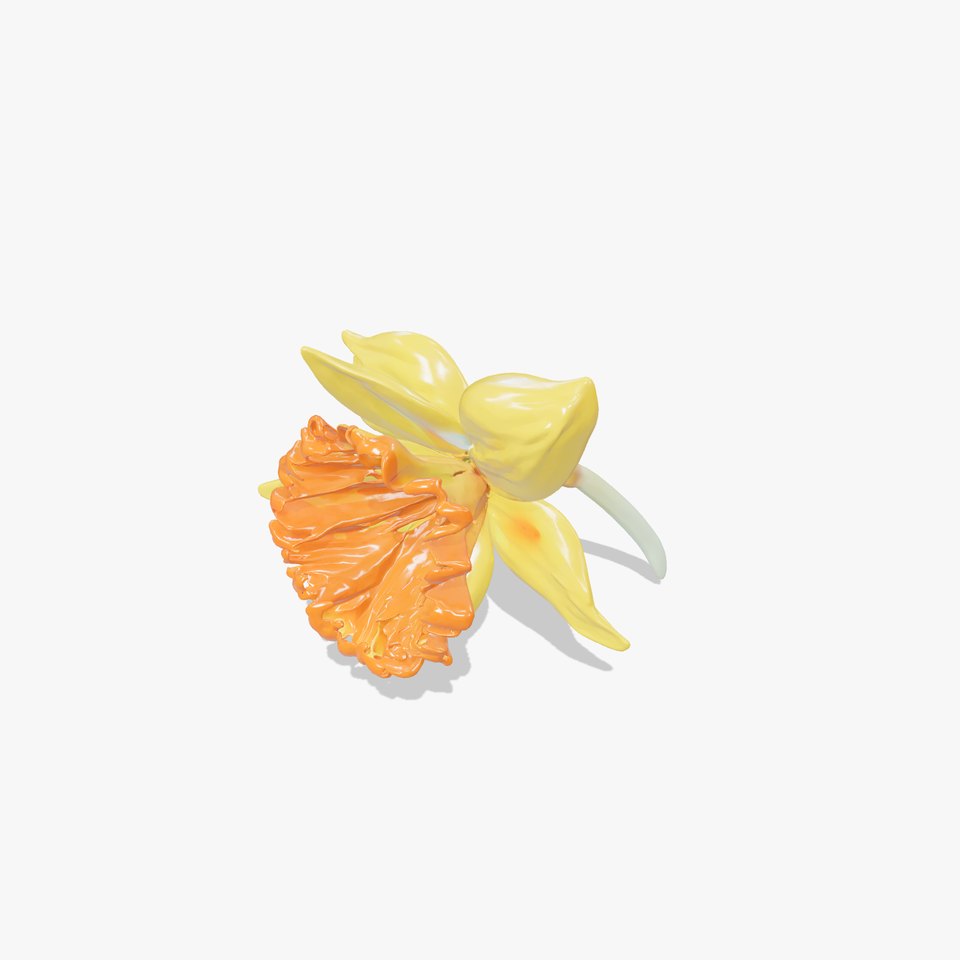 Yellow Narcissus with Apricot Trumpet model pack